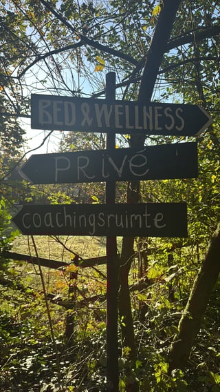 04501130-495E-4120-B5E7-F8C0A7C0A836.jpeg