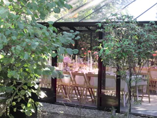IMG-20250810-WA0042.jpg