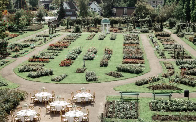 Diner in het Rosarium. Een prachtig uitzicht op de rozenstruiken.
