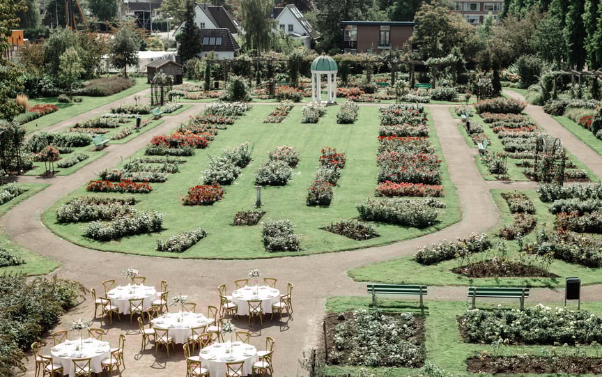 Diner in het Rosarium. Een prachtig uitzicht op de rozenstruiken.